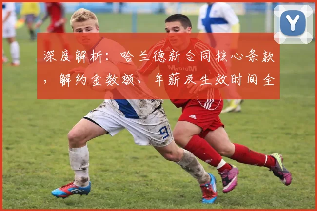 深度解析:哈兰德新合同核心条款,解约金数额、年薪及生效时间全揭秘